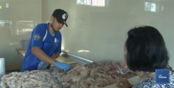En Cajeme, ventas en pescaderías se reducen hasta un 50%