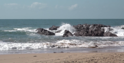 Poco a poco regresa el calmado oleaje a Mazatlán