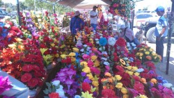 Se están otorgando 120 permisos a floristas: Oficialía Mayor