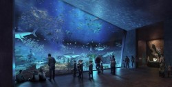 ¡De primer nivel!, Así lucirá el nuevo Acuario de Mazatlán