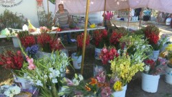 Vendedores de flores reportan buenas ventas