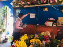 Se mantiene vigente operativo de PROFECO