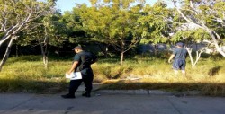 Hombre es hallado muerto colgado de un árbol