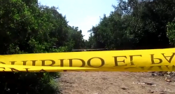 Localizan cuerpo sin vida en colonia Estero
