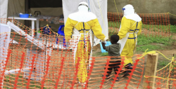 Director de la OMS: "Estamos lejos del fin de la epidemia de ébola en RDC"