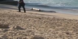 Cruel hallazgo de un feto a la orilla del mar en Mazatlán