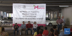 En Cajeme, expedición de permisos de siembra avanza normalmente