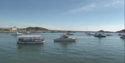 A la baja actividad de pesca deportiva