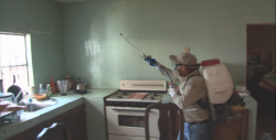En Mazatlán está controlado el mosquito del dengue: Jurisdicción Sanitaria VI