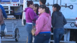 Reportan en Ahome casos sospechosos de influenza