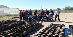 En Navojoa, La UES trabaja en la reforestación de la Presa Adolfo Ruiz Cortinez
