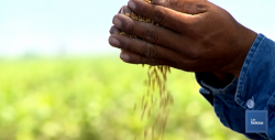 Sonora ejemplo a nivel nacional en Sanidad Agropecuaria