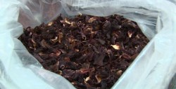 Además de ser una rica bebida, la Jamaica contiene propiedades medicinales