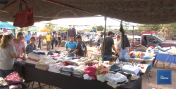 En Navojoa, buscan realizar asociación de tiangueros
