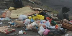 Basura y maleza por la Colegio Militar