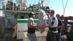 Difícil  salida de barcos  y casi imposible un tercer viaje: Rousse