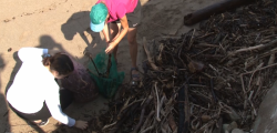Voluntarios limpian playas de Olas Altas