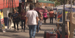 La Tasa de Informalidad Laboral  fue de 55.3% en octubre
