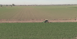 Hay apertura con el Gobierno Federal para atender al sector agricola