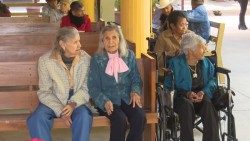 Realizan posada para abuelitos del asilo Santa Rosa