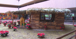 Los Nacimientos Navideños son una tradición creada en 1223 por San Francisco de Asís
