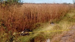 Motociclista pierde el control y muere