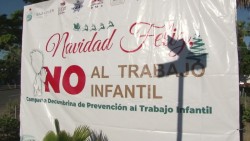 Inicia campaña "Navidad Feliz, No al Trabajo Infantil"