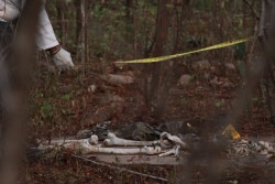 Encuentran restos humanos “Sabuesas Guerras”
