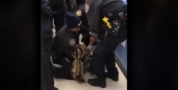 Cuatro policías arrancan a bebé de las manos de su madre en una guardería