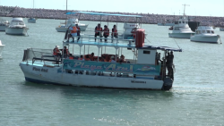 Esperan repunte en demanda de servicios, Catamaranes.