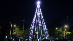 Encienden árbol de navidad en la UAS