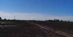 Preocupa a los productores de Sinaloa, la propuesta de presupuesto al campo
