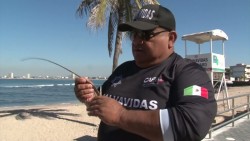 Alarmante el número de picaduras de Mantarrayas en Mazatlán