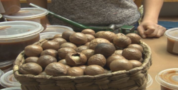 Macadamia, con sabor especial