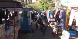 Contentos los comerciantes de tianguis por las ventas de temporada