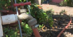 Asegura JAPAMA que trabajan por brindar agua de  calidad