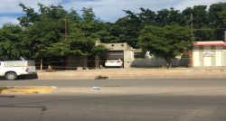 Ciclista y peatón son  atropellados