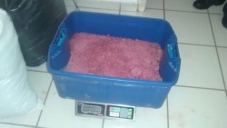 Decomisa la SSP 90 kilos de droga