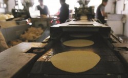 Analizan nuevo aumento al precio de la tortilla