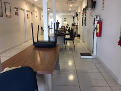 Saturadas consultas en enero
