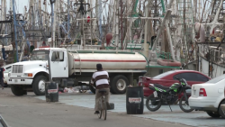 Pocos barcos zarparán a altamar a un siguiente viaje de pesca