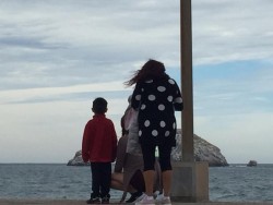 Se protegen del frío, ante las bajas temperaturas