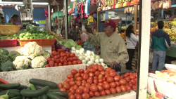 Se mantienen precios de la canasta básica
