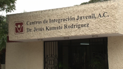 Aumentan casos de adicción en niños: CIJ