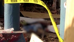 Fallece hombre al caerle barda encima