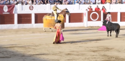 Corrida de toros no tiene permiso: Alcalde de Mazatlán