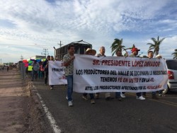 Se manifiestan productores hortícolas de Escuinapa