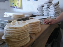 De aumentar más costo de harina de maíz, podría subir precio de la tortilla