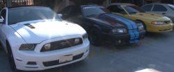 Preparan Festival de Mustang´s
