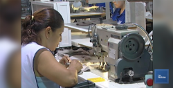 Exentarán de impuestos a empresas de nueva creación en este 2019